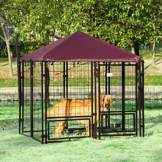 Dog Kennel Outdoor
