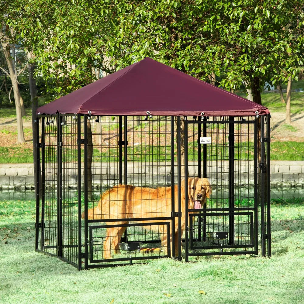Dog Kennel Outdoor