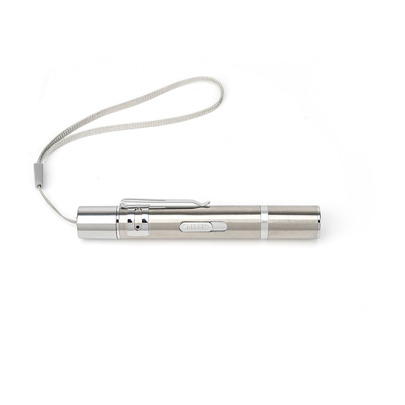Laser Pointer Cat and Dog Toy