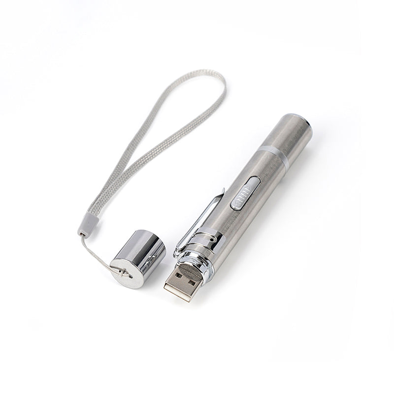 Laser Pointer Cat and Dog Toy